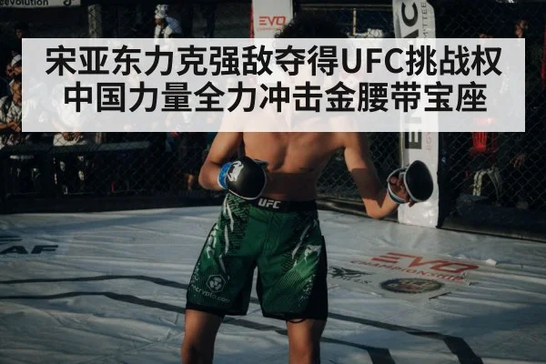宋亚东力克强敌夺得UFC挑战权 中国力量全力冲击金腰带宝座
